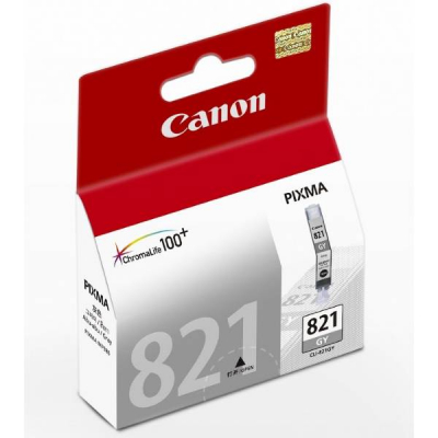 Canon Ink Cartridge (CLI-821) Grey