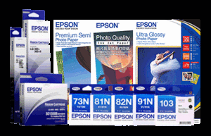 Epson T01P Inks