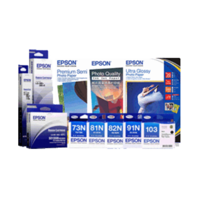 Epson T585 Picture Pack Inks