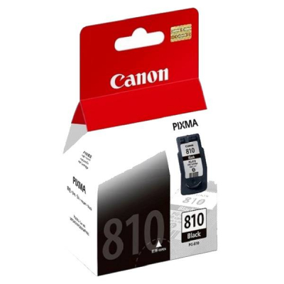 Canon Ink Cartridge (PG810) Black **TWIN PACK**
